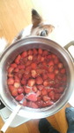 2009032708450000.jpg