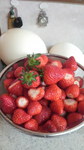 2009032708080000.jpg
