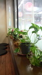 2009040219190000.jpg
